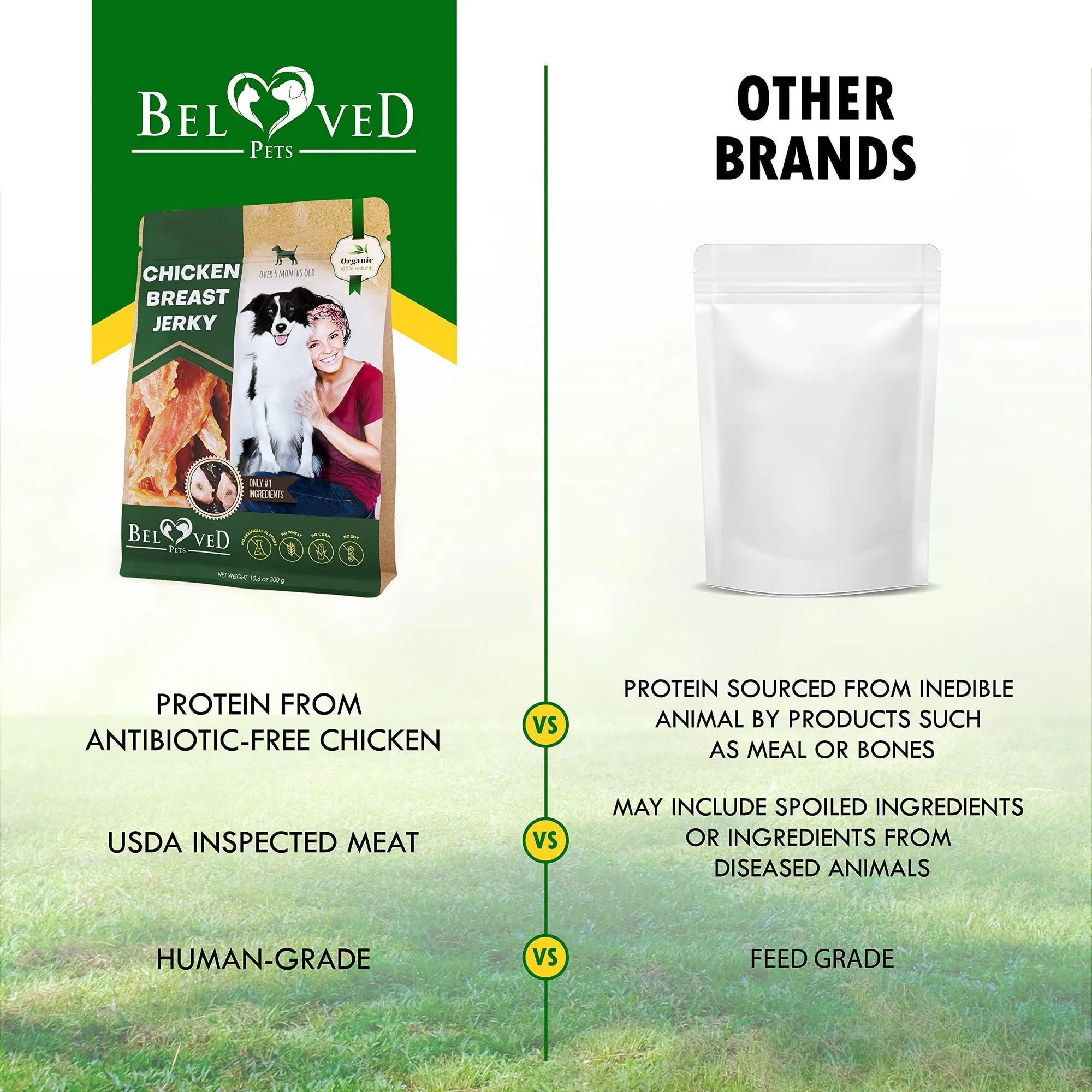 Chicken Organic Healthy Snacks for Dog
