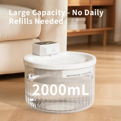 Pet Water Fountain