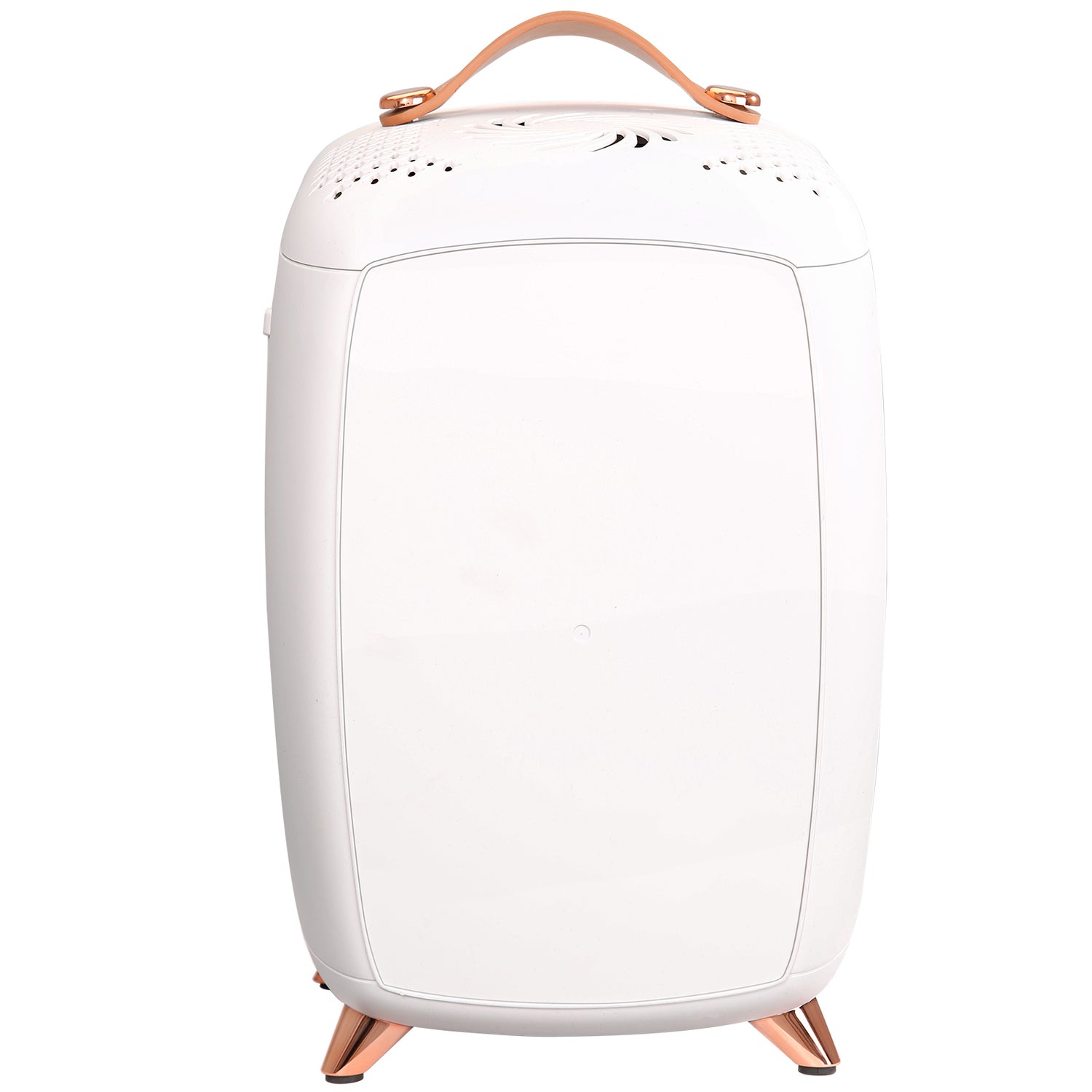 Small Makeup Refrigerator for Beauty Face