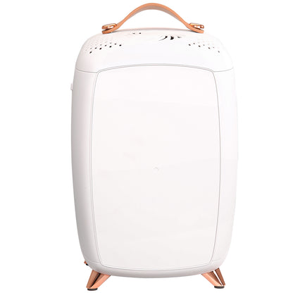 Small Makeup Refrigerator for Beauty Face