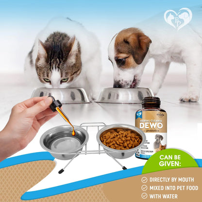 Cats And Dogs Natural Worm Treatment