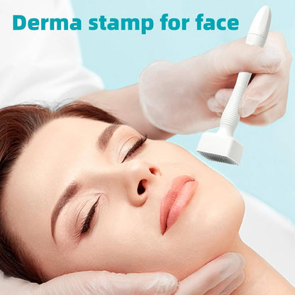 Micro Needle Skin Care Tool