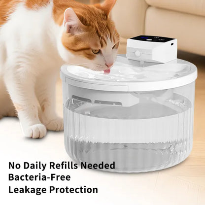 Pet Water Fountain
