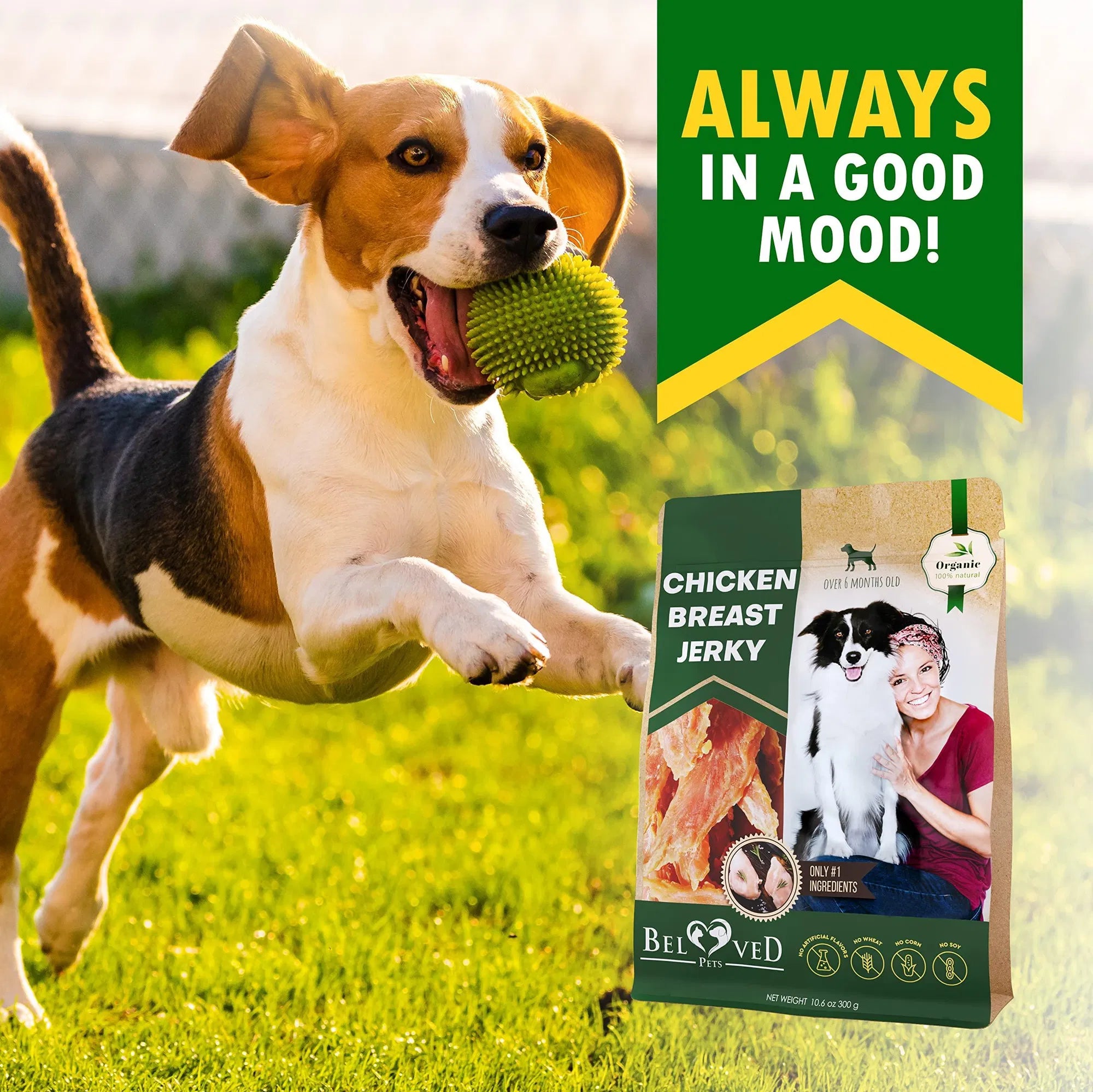 Chicken Organic Healthy Snacks for Dog