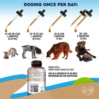 Cats And Dogs Natural Worm Treatment